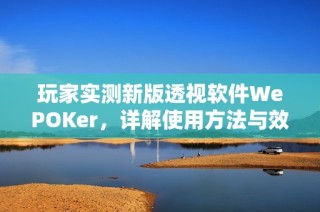 玩家实测新版透视软件WePOKer，详解使用方法与效果评测