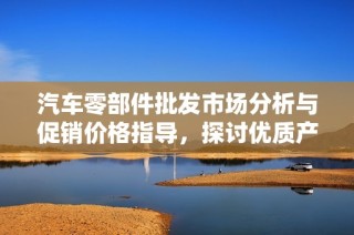 汽车零部件批发市场分析与促销价格指导，探讨优质产地货源选择策略