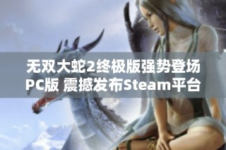 无双大蛇2终极版强势登场PC版 震撼发布Steam平台引发玩家热议