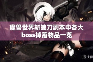魔兽世界斩魄刀副本中各大boss掉落物品一览