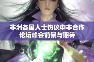 非洲各国人士热议中非合作论坛峰会前景与期待