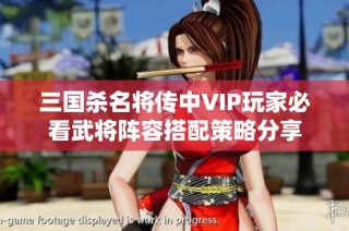 三国杀名将传中VIP玩家必看武将阵容搭配策略分享