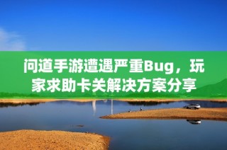 问道手游遭遇严重Bug，玩家求助卡关解决方案分享