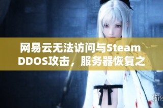 网易云无法访问与Steam DDOS攻击，服务器恢复之道何在？