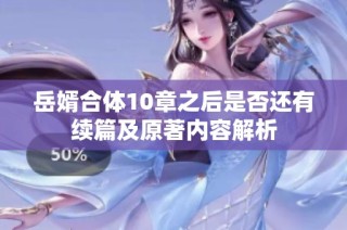 岳婿合体10章之后是否还有续篇及原著内容解析