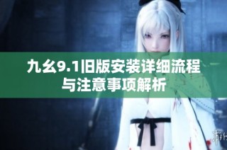 九幺9.1旧版安装详细流程与注意事项解析