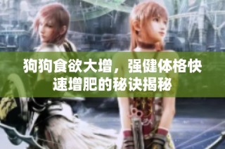 狗狗食欲大增，强健体格快速增肥的秘诀揭秘