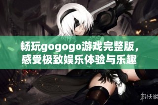 畅玩gogogo游戏完整版，感受极致娱乐体验与乐趣