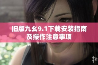 旧版九幺9.1下载安装指南及操作注意事项
