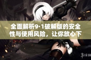 全面解析9·1破解版的安全性与使用风险，让你放心下载使用