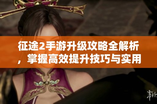 征途2手游升级攻略全解析，掌握高效提升技巧与实用经验