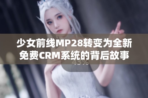 少女前线MP28转变为全新免费CRM系统的背后故事