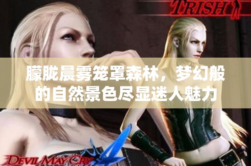 朦胧晨雾笼罩森林，梦幻般的自然景色尽显迷人魅力