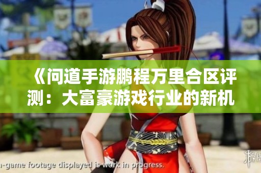 《问道手游鹏程万里合区评测：大富豪游戏行业的新机遇与挑战解析》
