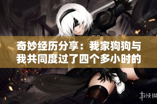 奇妙经历分享：我家狗狗与我共同度过了四个多小时的奇幻时光
