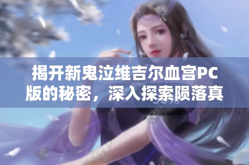 揭开新鬼泣维吉尔血宫PC版的秘密，深入探索陨落真相的全攻略与技巧分享