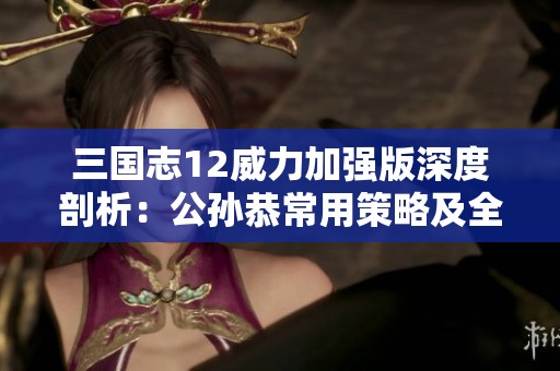 三国志12威力加强版深度剖析：公孙恭常用策略及全方位战略指南
