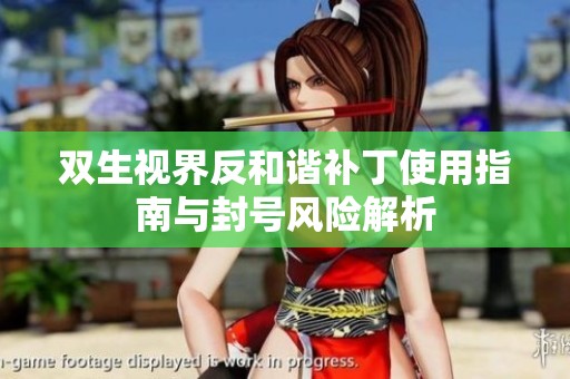 双生视界反和谐补丁使用指南与封号风险解析