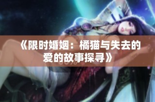 《限时婚姻：橘猫与失去的爱的故事探寻》