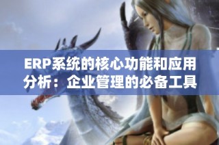 ERP系统的核心功能和应用分析：企业管理的必备工具