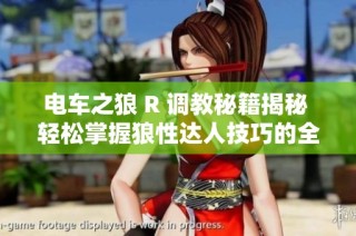 电车之狼 R 调教秘籍揭秘 轻松掌握狼性达人技巧的全攻略