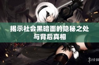 揭示社会黑暗面的隐秘之处与背后真相