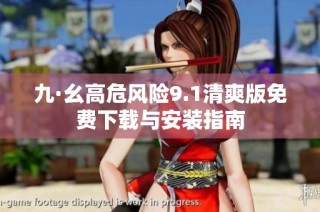 九·幺高危风险9.1清爽版免费下载与安装指南