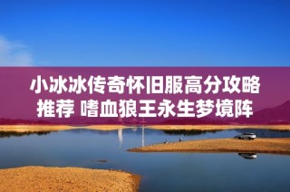 小冰冰传奇怀旧服高分攻略推荐 嗜血狼王永生梦境阵容解析