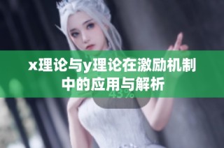 x理论与y理论在激励机制中的应用与解析