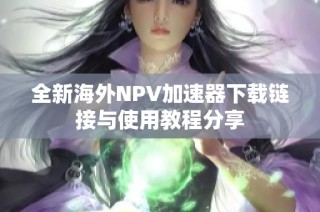 全新海外NPV加速器下载链接与使用教程分享