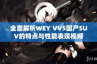 全面解析WEY VV5国产SUV的特点与性能表现视频