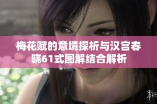 梅花赋的意境探析与汉宫春晓61式图解结合解析