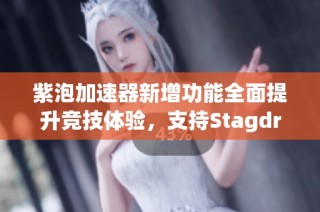 紫泡加速器新增功能全面提升竞技体验，支持Stagdraft游戏畅快体验