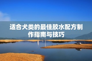 适合犬类的最佳胶水配方制作指南与技巧