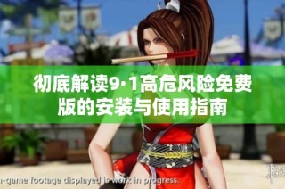 彻底解读9·1高危风险免费版的安装与使用指南
