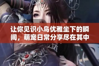 让你见识小鸟优雅坐下的瞬间，萌宠日常分享尽在其中