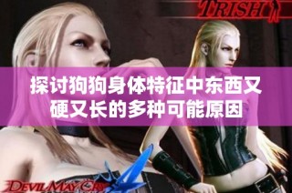 探讨狗狗身体特征中东西又硬又长的多种可能原因