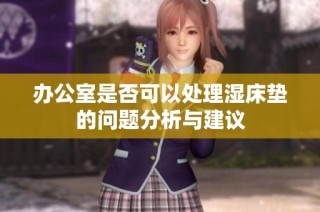 办公室是否可以处理湿床垫的问题分析与建议