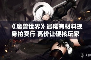 《魔兽世界》最稀有材料现身拍卖行 高价让硬核玩家望而却步