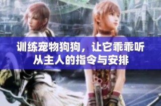 训练宠物狗狗，让它乖乖听从主人的指令与安排