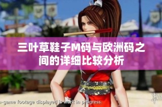 三叶草鞋子M码与欧洲码之间的详细比较分析