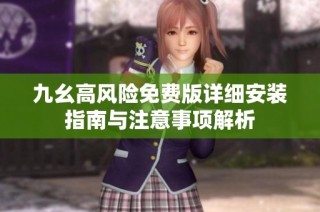 九幺高风险免费版详细安装指南与注意事项解析