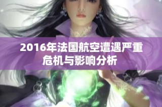 2016年法国航空遭遇严重危机与影响分析 