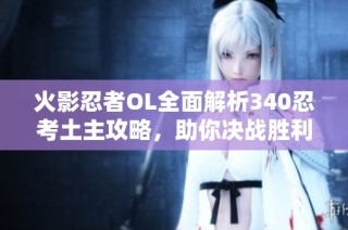 火影忍者OL全面解析340忍考土主攻略，助你决战胜利的秘诀与战术揭秘