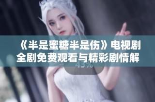 《半是蜜糖半是伤》电视剧全剧免费观看与精彩剧情解析