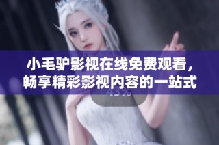 小毛驴影视在线免费观看，畅享精彩影视内容的一站式平台