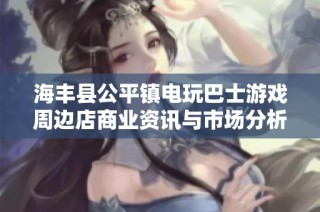 海丰县公平镇电玩巴士游戏周边店商业资讯与市场分析报告探索