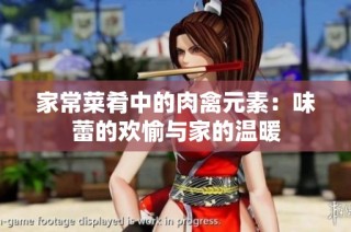 家常菜肴中的肉禽元素：味蕾的欢愉与家的温暖
