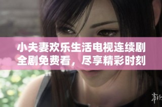 小夫妻欢乐生活电视连续剧全剧免费看，尽享精彩时刻