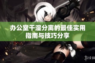 办公室干湿分离的最佳实用指南与技巧分享